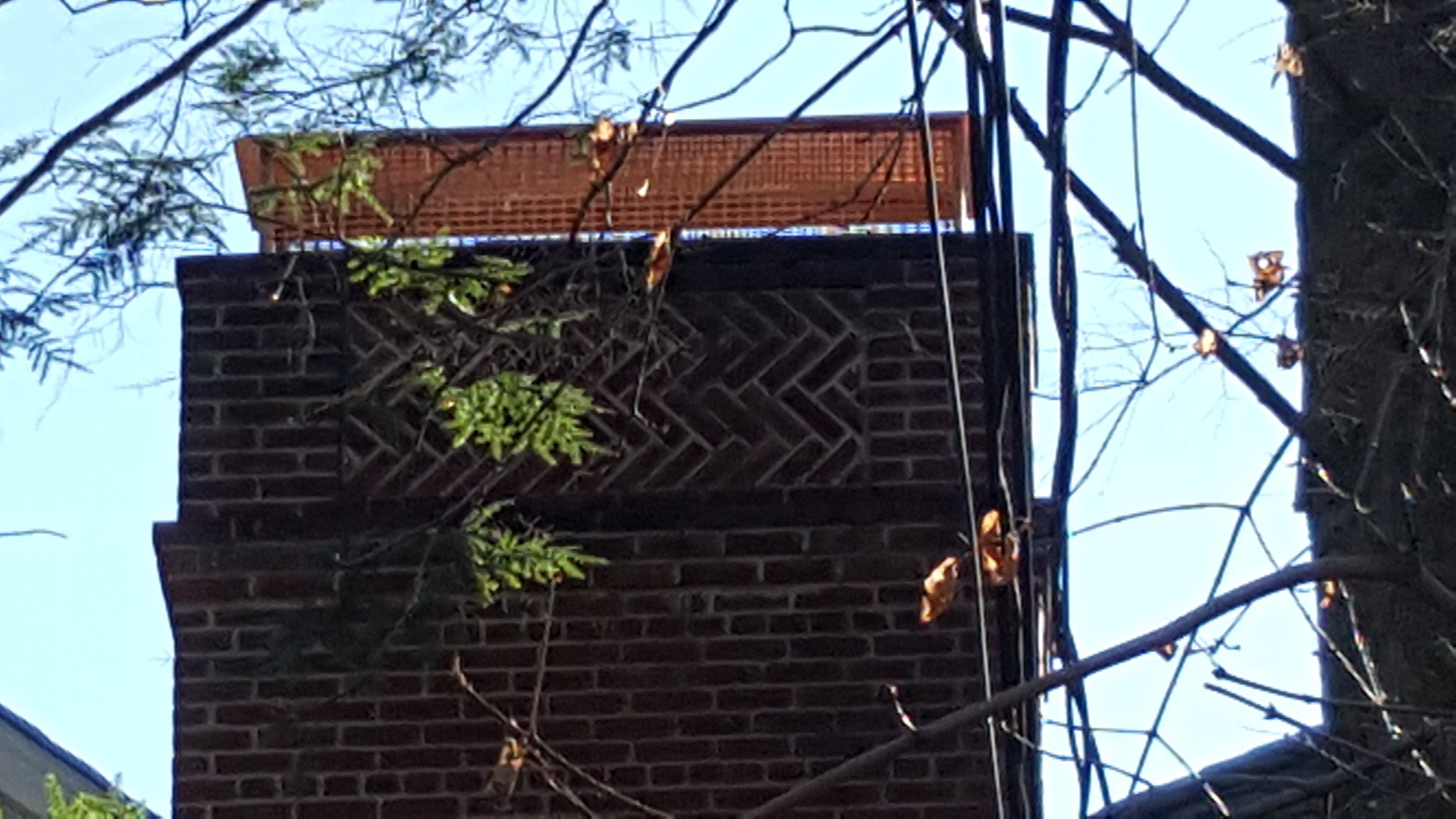 Animal-proof chimney cap protecting home in Oyster Bay, New York